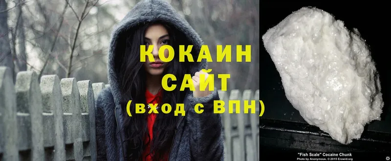 где найти   Балтийск  COCAIN FishScale 